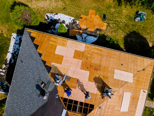 Best Roof Repair Services  in Hillsboro, KS