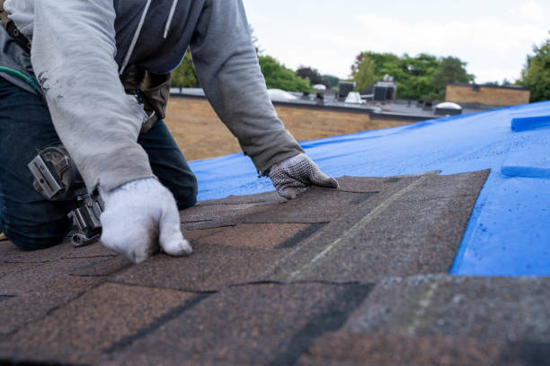 Best Gutter Installation and Roofing  in Hillsboro, KS